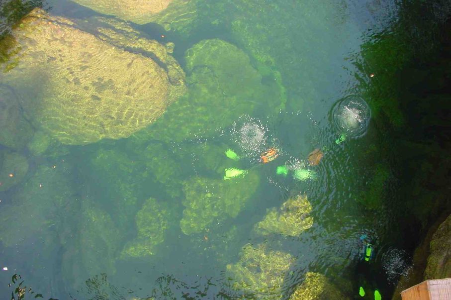Taucher im gr&uuml;n schimmernden Flussbett aus Vogelperspektive.